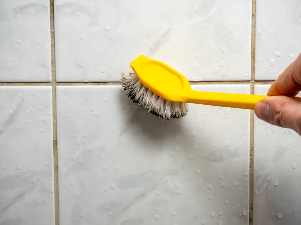 Best Home Mold Removal  in Murphysboro, IL