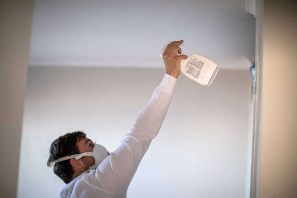 Best Commercial Mold Removal  in Murphysboro, IL