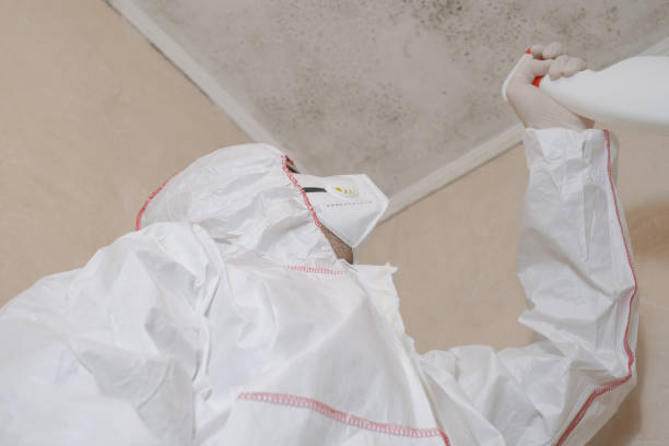 Best Mold Inspection  in Murphysboro, IL